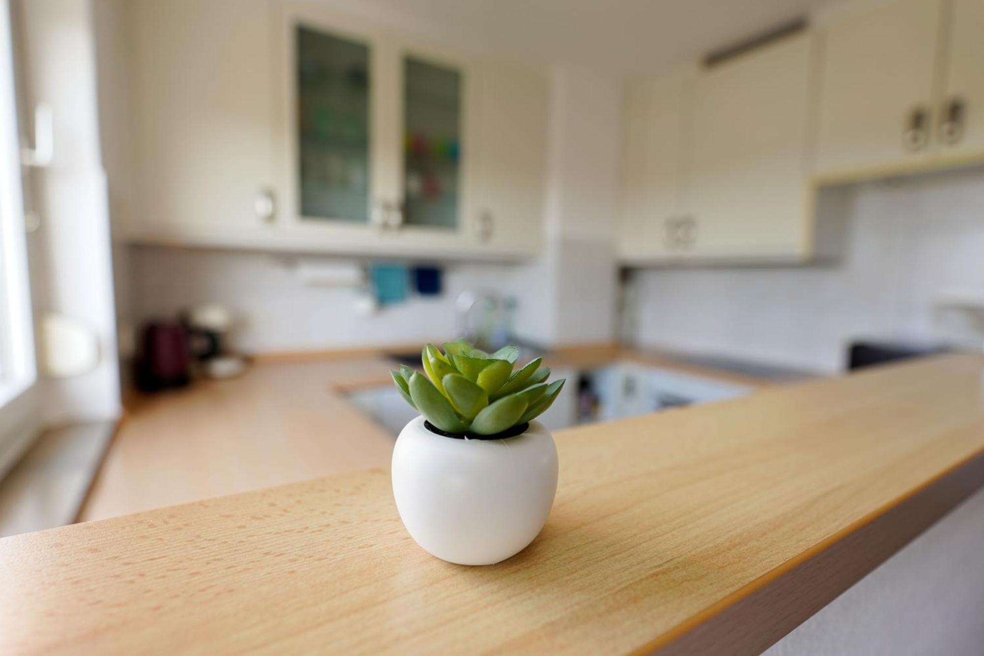 Tolle Wohnung Mit Panoramablick 魏因海姆 外观 照片